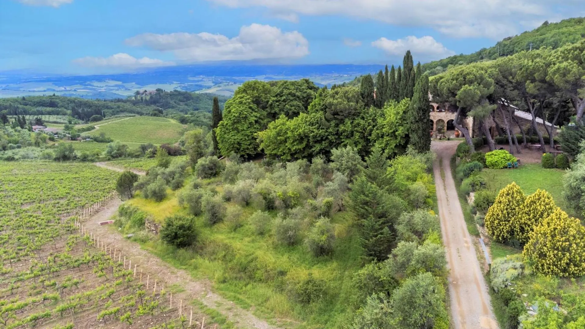 Apartment Cellole - La Stalla By Interhome Castellina in Chianti Italy